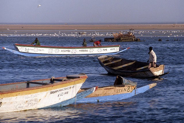 Des pêcheurs dans leurs barques sur la côte de la Mauritanie